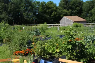 389 Trailsend Dr, Torrington, CT 06790 - Photo 38