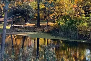 18 Hales Rd, Westport, CT 06880 - Photo 24