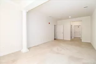 603 Brookside Ct, Newtown, CT 06470 - Photo 22