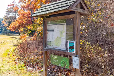 54 Scofield Hill Road, Washington, CT 06794 - Photo 28