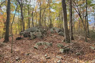 385 Oxoboxo Dam Rd, Montville, CT 06370 - Photo 16