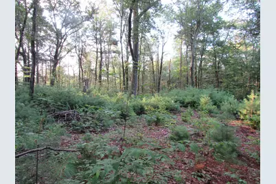 7 Stadler Heights, Winchester, CT 06098 - Photo 4