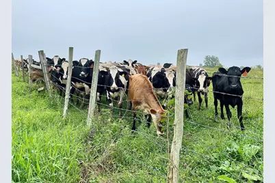 182 Magnolia Hill Road, Bethlehem, CT 06751 - Photo 38