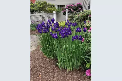 14 Quassuk Road #14, Woodbury, CT 06798 - Photo 18