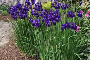 14 Quassuk Rd, Woodbury, CT 06798 - Photo 18