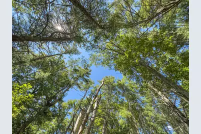 49 Stone Road, Killingly, CT 06241 - Photo 12