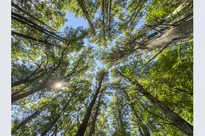 49 Stone Road, Killingly, CT 06241 - Photo 8