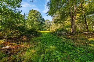 47 South St, Roxbury, CT 06783 - Photo 24