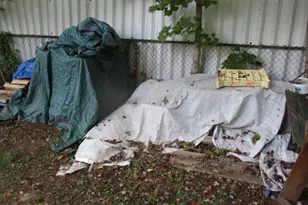 44 Douglas Dr, Meriden, CT 06451 - Photo 18