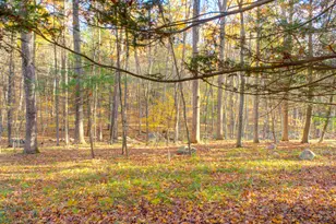 67 Mulberry Rd, Mansfield, CT 06250 - Photo 28