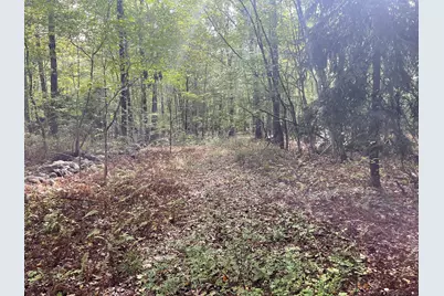 15 Short Hills Road, Old Lyme, CT 06371 - Photo 14