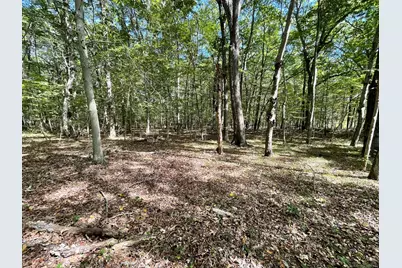 15 Short Hills Road, Old Lyme, CT 06371 - Photo 8