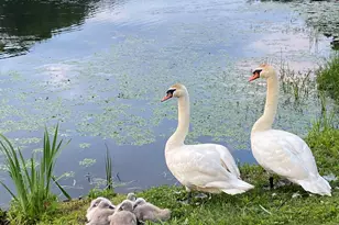 2 S Meadows, Woodbury, CT 06798 - Photo 38