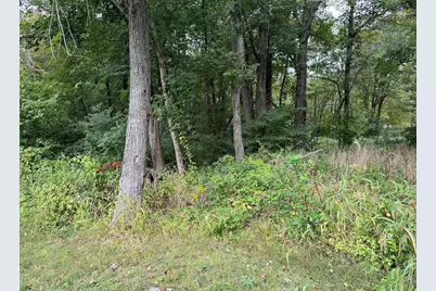 64 Columbine Road, Tolland, CT 06084 - Photo 4