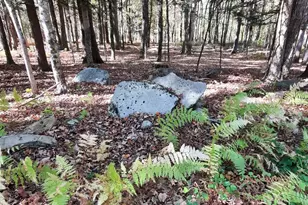 140 Ragged Hill Rd, Pomfret, CT 06259 - Photo 38