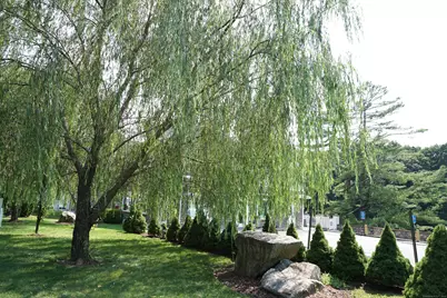 1086 Long Ridge Road #Left, Stamford, CT 06903 - Photo 10