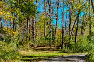 103 Geer Mountain Rd, Kent, CT 06785 - Photo 8
