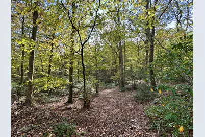 69 Moosehorn Road, Roxbury, CT 06783 - Photo 6