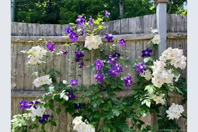 256 Mill Road, New Canaan, CT 06840 - Photo 32