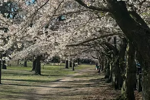 38 Academy St, New Haven, CT 06511 - Photo 4