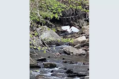 11 Phelps Road, East Haddam, CT 06423 - Photo 20