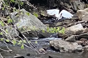 11 Phelps Rd, East Haddam, CT 06423 - Photo 20