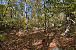 428 Plains Rd, Haddam, CT 06438 - Photo 1