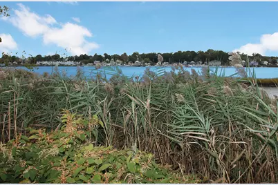 916 Quinnipiac Avenue #APT 2, New Haven, CT 06513 - Photo 32