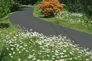 541 Judd Rd, Southbury, CT 06488 - Photo 38