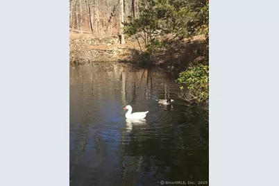 11 Phelps Road, East Haddam, CT 06423 - Photo 28