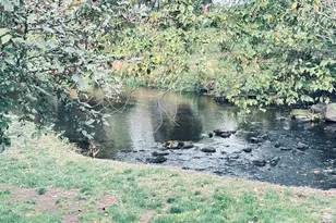 97 Richards Ave, Norwalk, CT 06854 - Photo 6