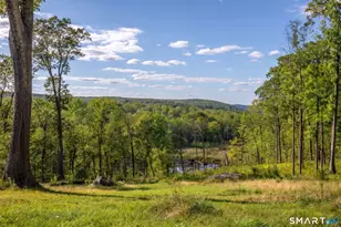 8 Bobcat Ln, Warren, CT 06754 - Photo 20