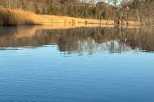 219 Twin Lakes Rd, North Branford, CT 06471 - Photo 32