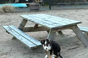 219 Twin Lakes Rd, North Branford, CT 06471 - Photo 30