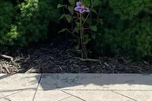 26 Beechwood Dr, Waterford, CT 06385 - Photo 4