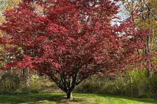 8 Main St N, Bethlehem, CT 06751 - Photo 30