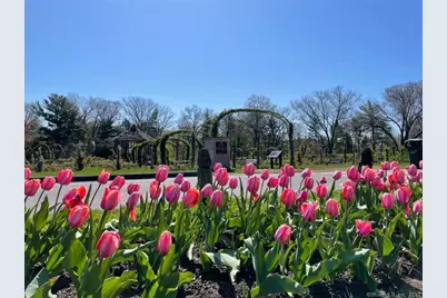 4 Sycamore Lane, West Hartford, CT 06117 - Photo 16