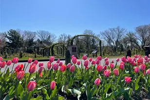 4 Sycamore Ln, West Hartford, CT 06117 - Photo 16