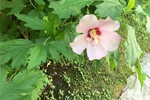 81 Currituck Rd, Newtown, CT 06470 - Photo 36