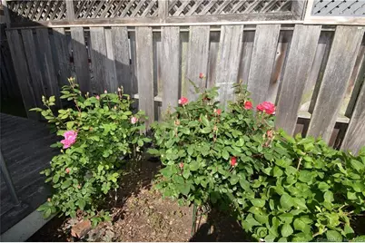 15 Trumbull Street, Stonington, CT 06378 - Photo 26