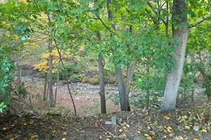 481 Bunker Hill Ave, Waterbury, CT 06708 - Photo 14