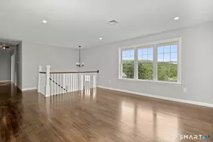 12 Cel Bret Dr, Danbury, CT 06810 - Photo 20