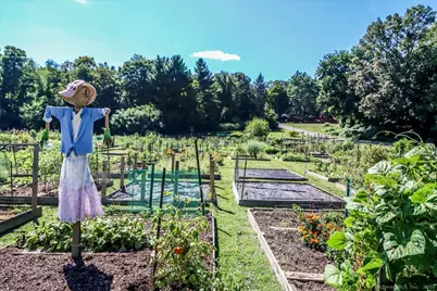 487 Heritage Village #A, Southbury, CT 06488 - Photo 30