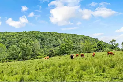 84 Gunn Hill Road, Washington, CT 06777 - Photo 40