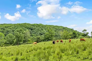 84 Gunn Hill Rd, Washington, CT 06777 - Photo 40