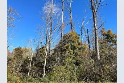 18 Niles Road, New Hartford, CT 06057 - Photo 4