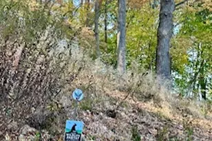 23 Church St, Wilton, CT 06897 - Photo 18