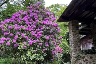 49 South St, Washington, CT 06793 - Photo 32