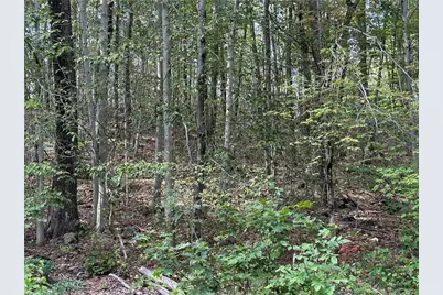 00 Above All Road, Warren, CT 06754 - Photo 6