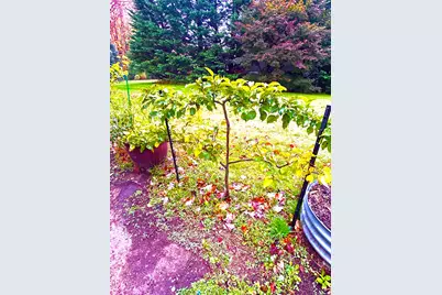 223 Osborn Road, Naugatuck, CT 06770 - Photo 8